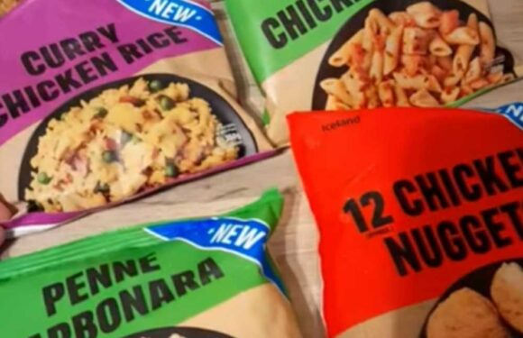 Foodies are racing to Iceland to snap up dinners from the new £1 range – including Chinese fakeaway & classic carbonara | The Sun
