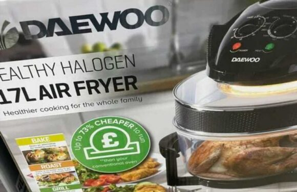 Foodies are rushing to snap up a £20 gadget from Farmfoods that rivals the air fryer – you'll never need your oven again | The Sun
