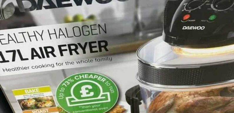 Foodies are rushing to snap up a £20 gadget from Farmfoods that rivals the air fryer – you'll never need your oven again | The Sun