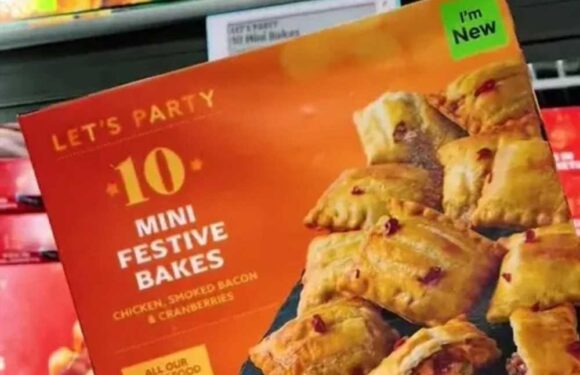 Foodies go wild for Aldi's Christmas party range & you can get mini Greggs dupe bakes perfect for the air fryer | The Sun