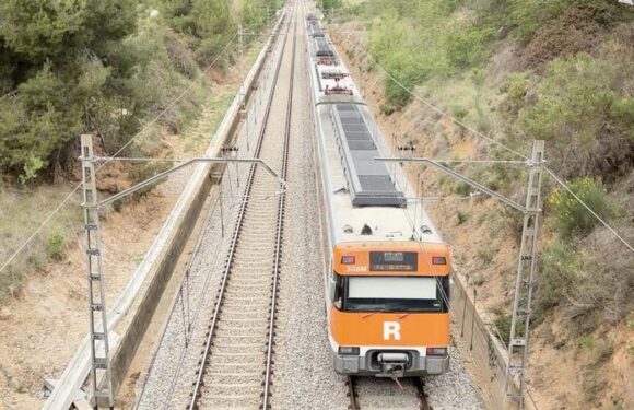 Four people dead and three seriously injured after being hit by train