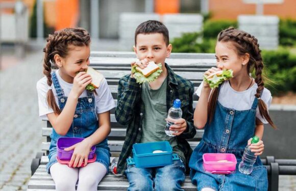 Four pricey lunch box snacks you could swap out for your own budget versions | The Sun