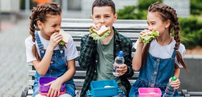 Four pricey lunch box snacks you could swap out for your own budget versions | The Sun