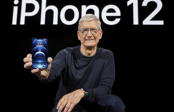 France watchdog bans sales of Apple's iPhone 12 over radiation levels