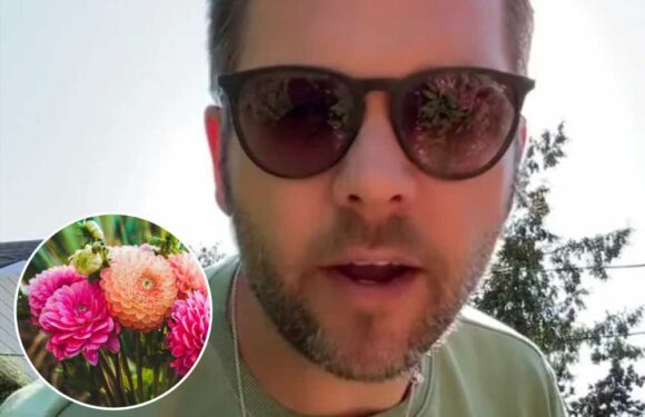 Gardening expert reveals exactly what your favourite flower says about you and it’s bad news if you love Dahlias | The Sun