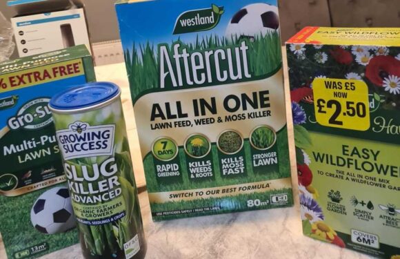 Gardening gurus are rushing to the Food Warehouse to nab a bargain that'll sort out your lawn for winter & it costs £1 | The Sun