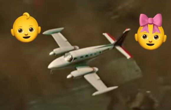 Gender Reveal Party Goes Horrifically Wrong As Plane Dropping Pink Smoke Crashes On Video!