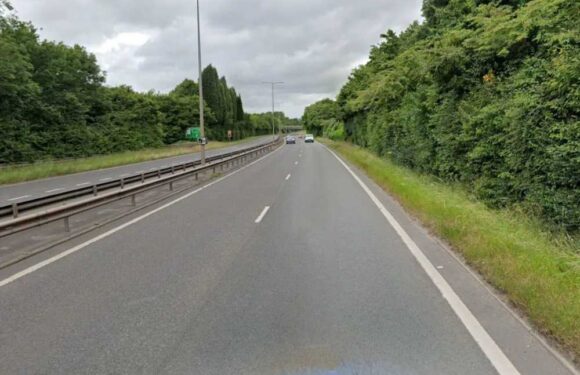 Girl, 12, and man, 36, killed in horror Telford car crash as two teen boys rushed to hospital | The Sun