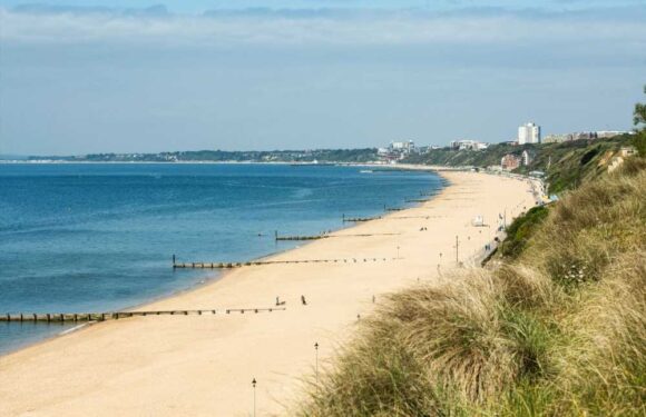 Girl, 15, suffers skull fractures after 'beachgoer threw rock at her' as she swam at Southbourne Beach | The Sun