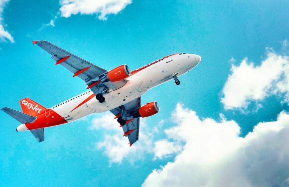 Go long-haul if you want a real holiday bargain