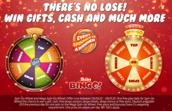Guaranteed wins on Sun Bingo's Spin-Go and Mega Spin-Go wheels | The Sun