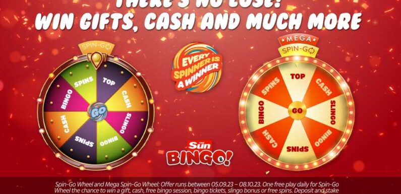 Guaranteed wins on Sun Bingo's Spin-Go and Mega Spin-Go wheels | The Sun