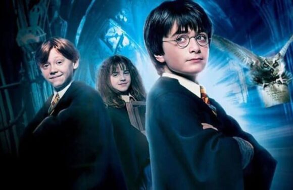 Harry Potter producer unveils how reboot TV show will be different to the movies