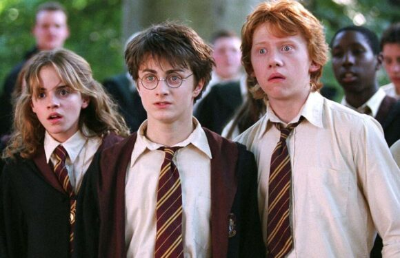 Harry Potter stars scandalous romances from A-list love triangle to airline romp