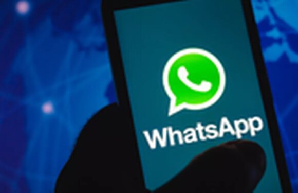 Hide your ‘typing’ status in WhatsApp using these hidden app settings