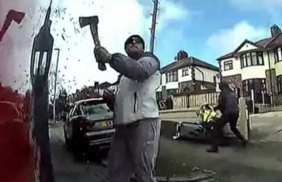 Horrifying moment hammer-wielding thugs violently attack bin men before flinging stop sign at vehicle as workers flee | The Sun
