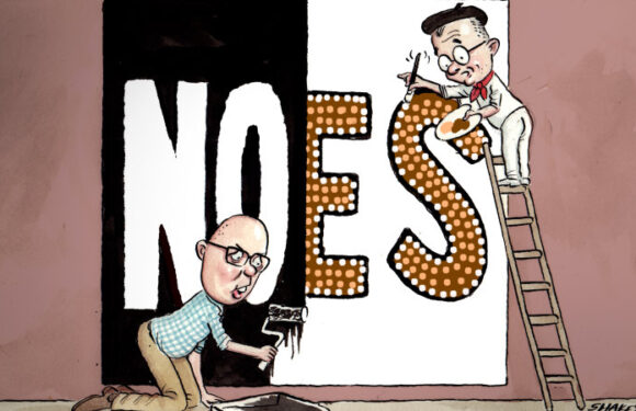 How could the Voice be ‘racially divisive’ when it’s not about race at all?