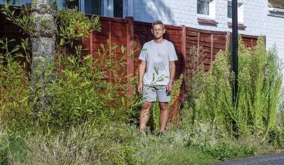 How nature reclaimed Brighton after woke council's 'rewilding' plan
