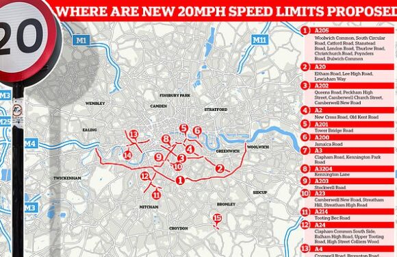 How woke officials are insisting '20 is plenty' in towns and cities