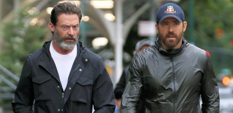 Hugh Jackman looks sombre on walk with pal Ryan Reynolds after split from wife of 27 years