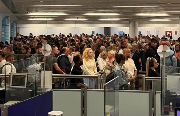 Hundreds queue for hours at UK airports as e-gates stop working