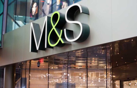 I bought £100 worth of M&S food & gear for just £16 – and I’m not the only one, prices are as low as 10p | The Sun