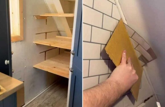 I gave my tiny pantry a makeover for just £60 – Amazon’s fake brick for walls is a must-buy | The Sun