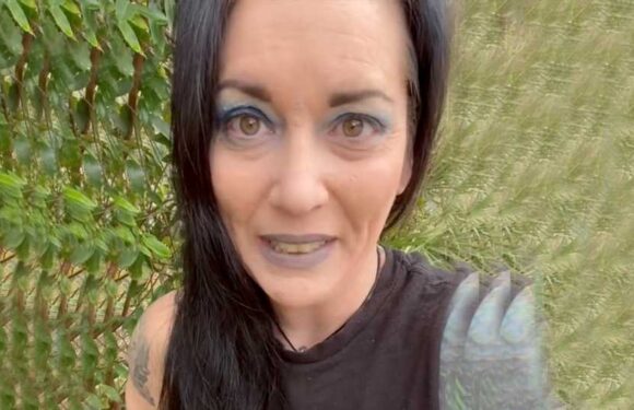 I live in a tiny home with my fiance and three pets – there's a major issue people don't tell you about | The Sun