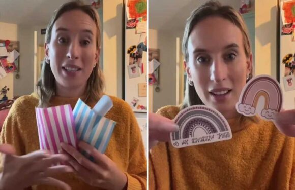 I made 26 party bags for my daughter's 7th birthday for under £20 – here's how I did it | The Sun