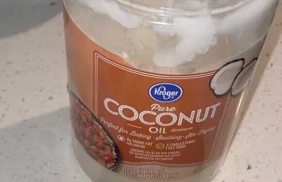 I quit buying toothpaste but my teeth have never felt better – I make my own DIY mix but I have to spit it into a tissue | The Sun