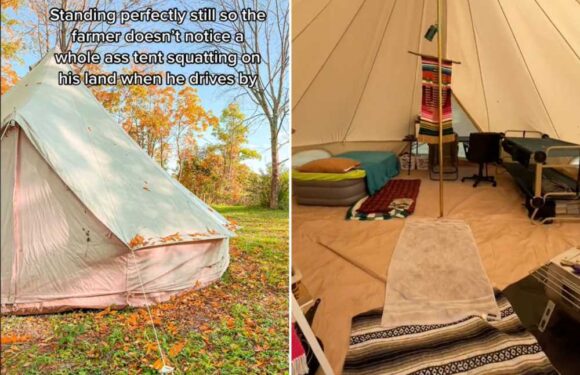 I quit my 9-5 job & moved into a tent with my son full-time – we were 'squatting on farmers' land'… but we loved it | The Sun