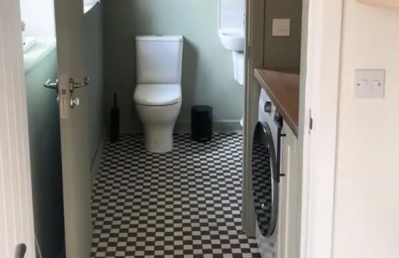 I transformed my bathroom myself and everyone loves it – I had to, I spent all my cash buying the place | The Sun