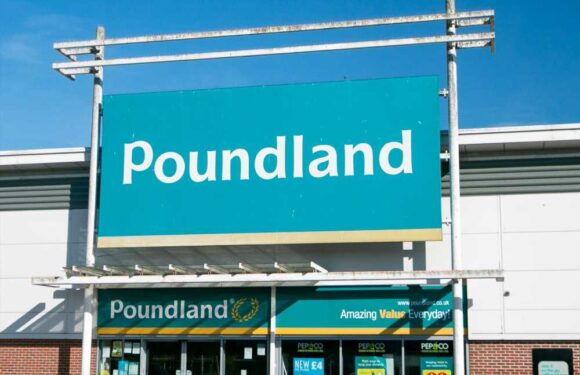 I visited Poundland four times & cleared shelves of reduced chocolate buys…I’m called chaotic but I got great bargains | The Sun