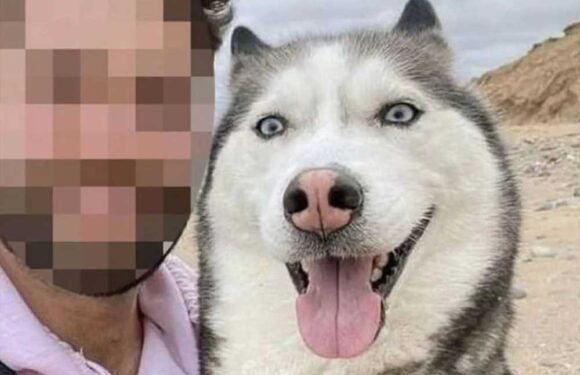 I was scammed out of £80k in ‘pig butchering’ con – I feel idiotic for falling for it, I’m humiliated | The Sun