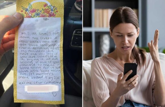 I was stunned when my neighbour stole our delivery & tried to sell it back to us – they even gave us a signed confession | The Sun