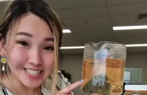 I was told there were ‘no job opportunities’ so started a drink side hustle & made 7-figures – my second brand's big too | The Sun