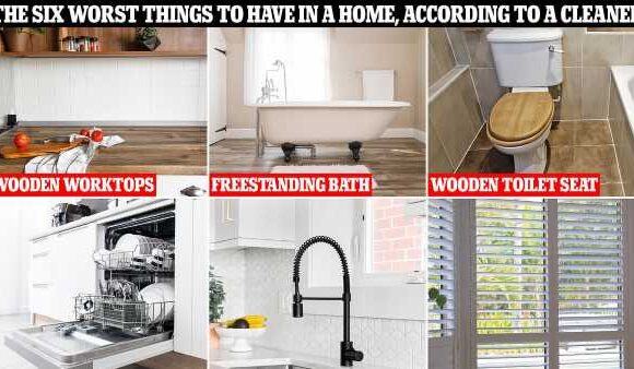 I'm a pro cleaner – I'd NEVER have these six things in my home