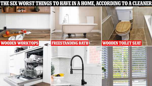 I'm a pro cleaner – I'd NEVER have these six things in my home