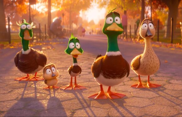 Illuminations Migration Flies to VIEW Conference for Italian Premiere