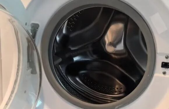 I’m a cleaning fan – the right way to clean your washing machine to make sure it never gets mouldy & it costs pennies | The Sun