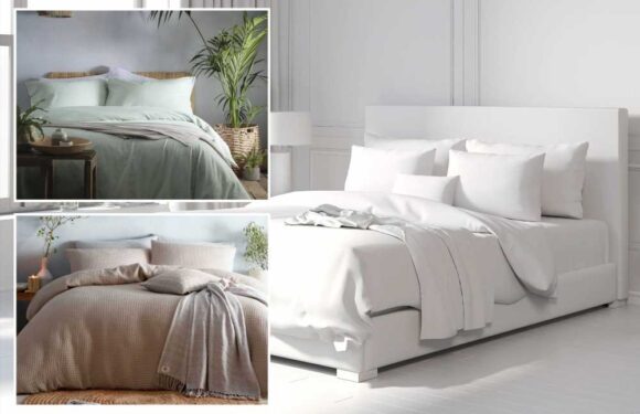 I’m a design expert…5 rules to master the ‘quiet luxury’ trend on a budget – and why white bedding isn't a good idea | The Sun