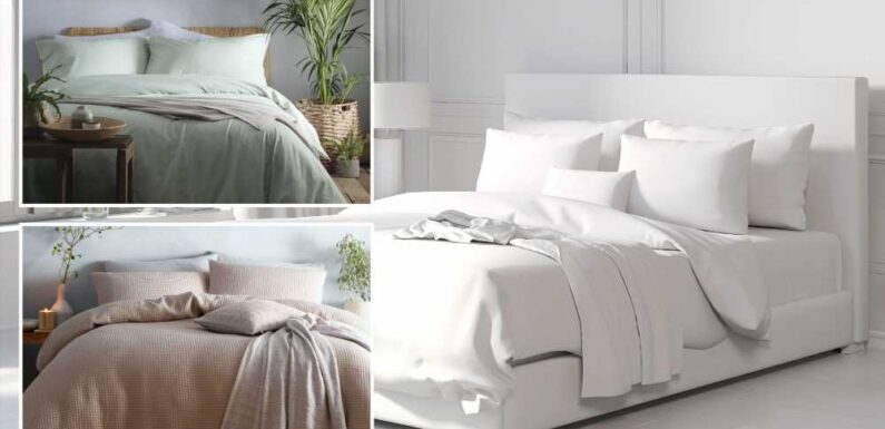 I’m a design expert…5 rules to master the ‘quiet luxury’ trend on a budget – and why white bedding isn't a good idea | The Sun