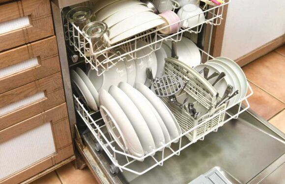 I’m a dishwasher expert and there’s a popular hack that’s ruining your machine – you need to stop doing it immediately | The Sun