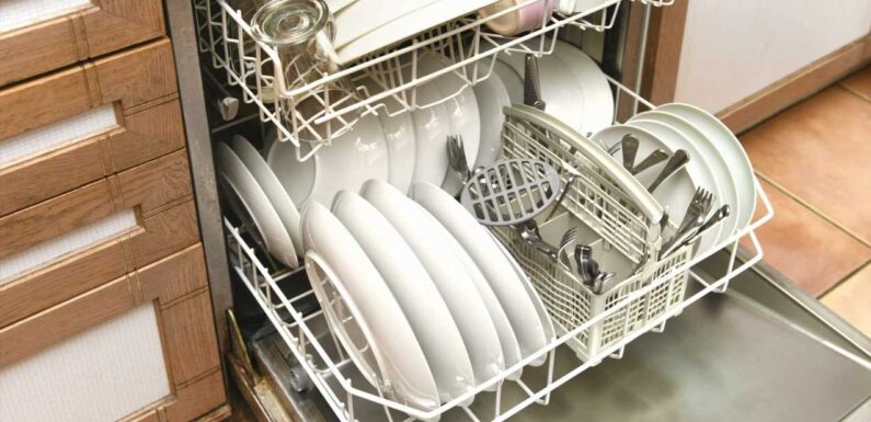 I’m a dishwasher expert and there’s a popular hack that’s ruining your machine – you need to stop doing it immediately | The Sun