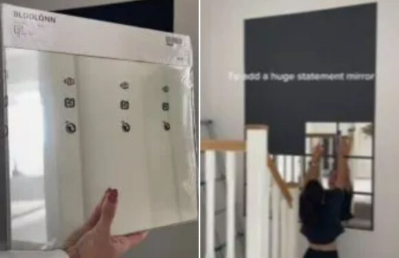 I’m a home stylist and I created a stunning statement mirror with this £2 buy from IKEA | The Sun