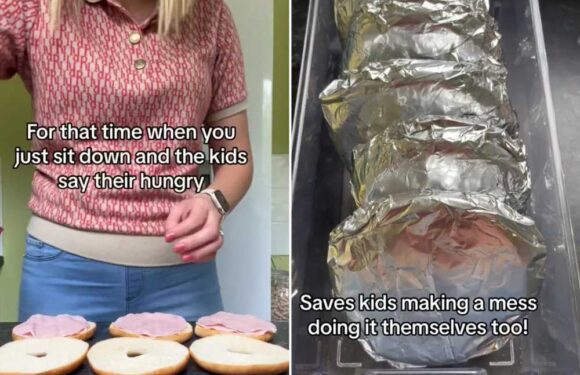 I’m a mum & it annoys me when my kids ask for snacks – my clever hack means I’m not wasting time making them extra food | The Sun