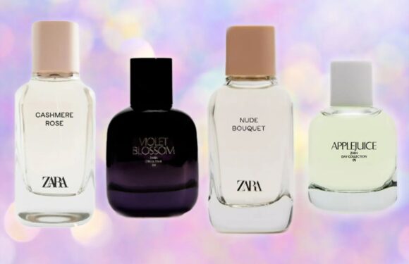 I’m a perfume fanatic – my top five Zara dupes, including a version of a Dior favourite for a quarter of the price | The Sun