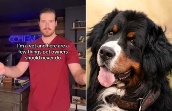 I’m a vet… three things pet owners should never do & why giving them cooked bones will cost you thousands in vet bills | The Sun