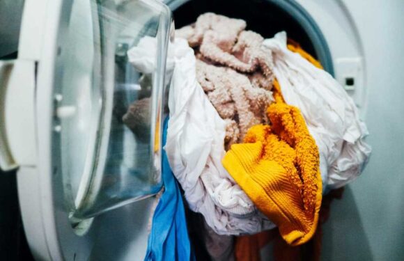 I’m a washing expert – there’s a 25p trick which will banish musty stinks from your clothes | The Sun