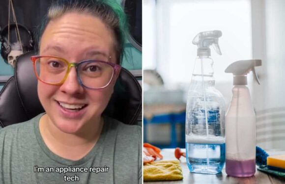 I’m an appliance pro – the two common cleaning products NEVER to mix… they create deadly chlorine gas | The Sun